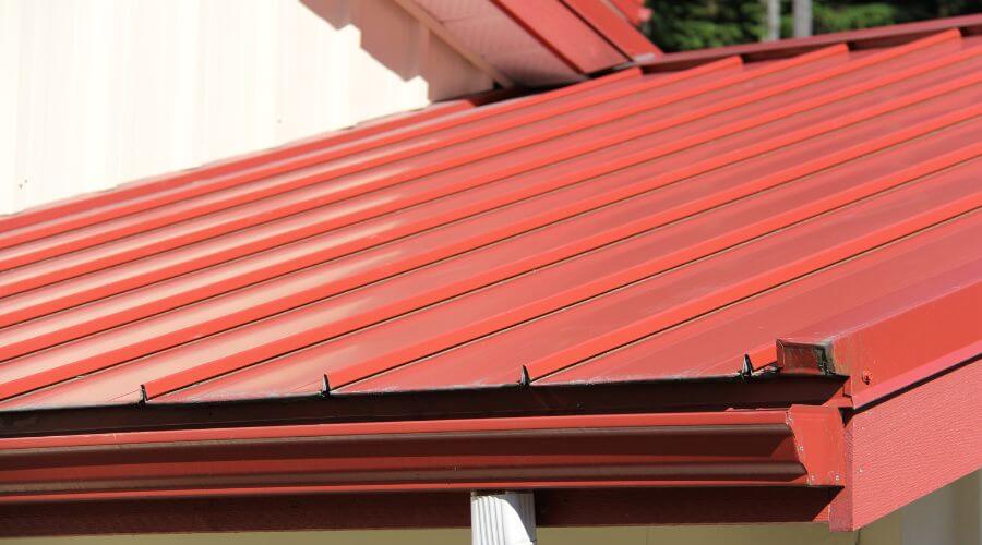Gutter Debris Removal in Caledonia, ND